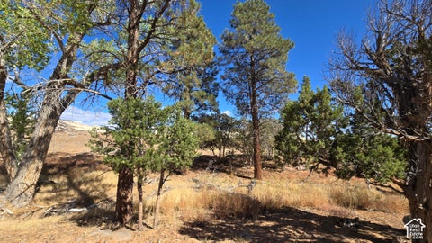 Tiny photo for #7, Boulder, UT 84716 (MLS # 2190459)