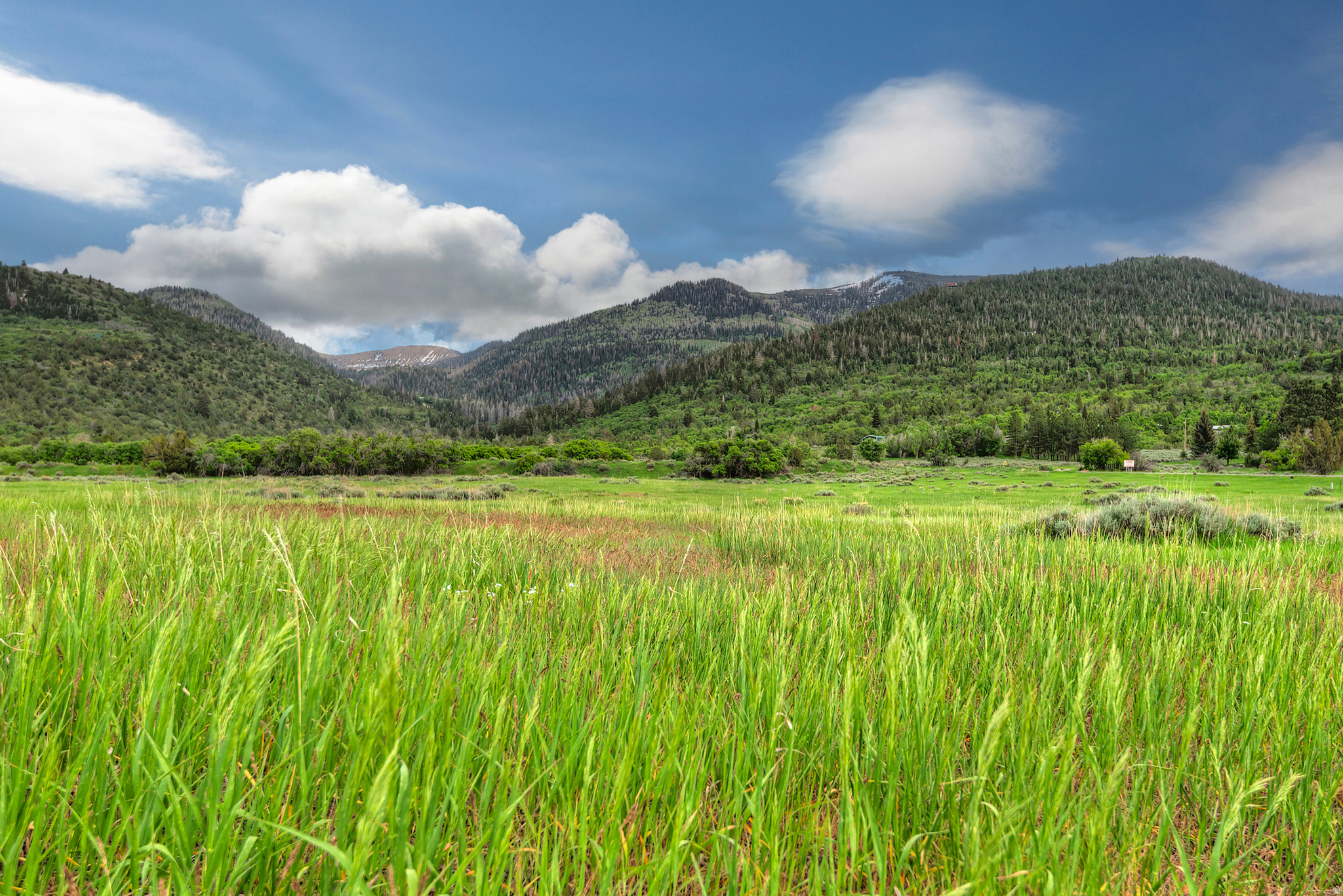 SUNDOWNER WEST - Land