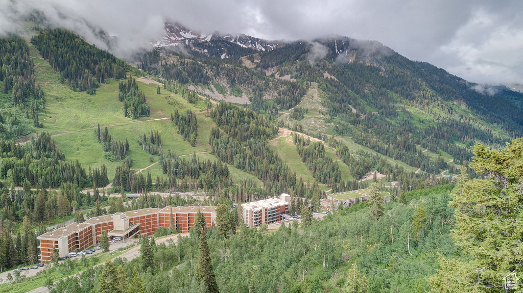 THE INN AT SNOWBIRD - Residential