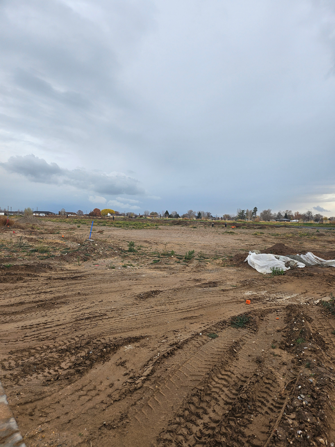 THE PRESERVE AT WILLOW BLUFF - Land