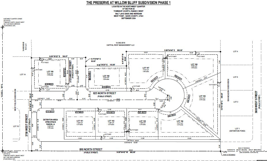 THE PRESERVE AT WILLOW BLUFF - Land
