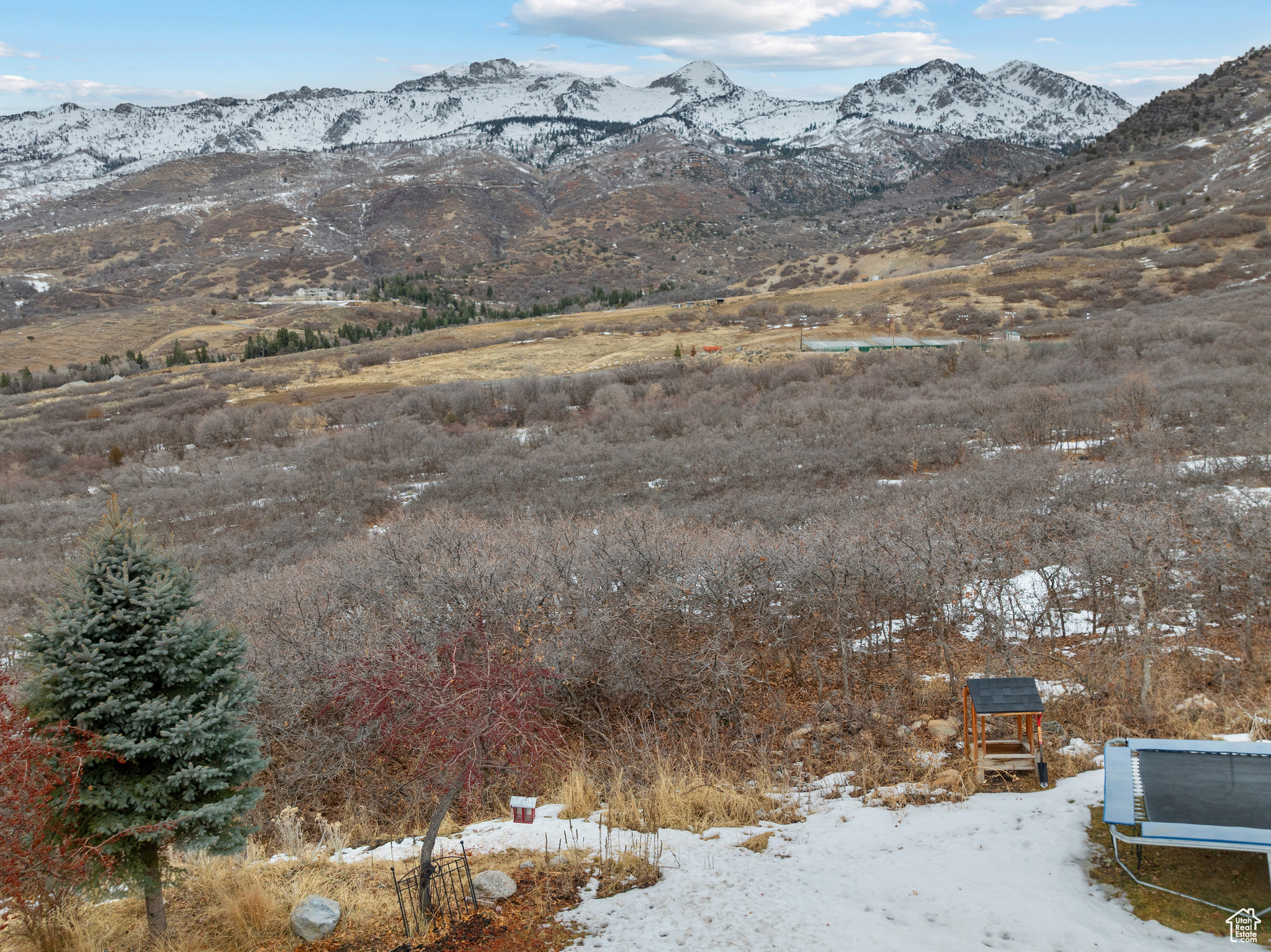 BOX ELDER - Residential