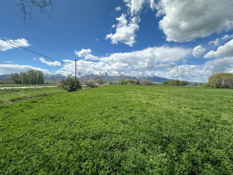 Vacant Land For Sale - Land<br/> Cache County, Hyrum, UT 84319