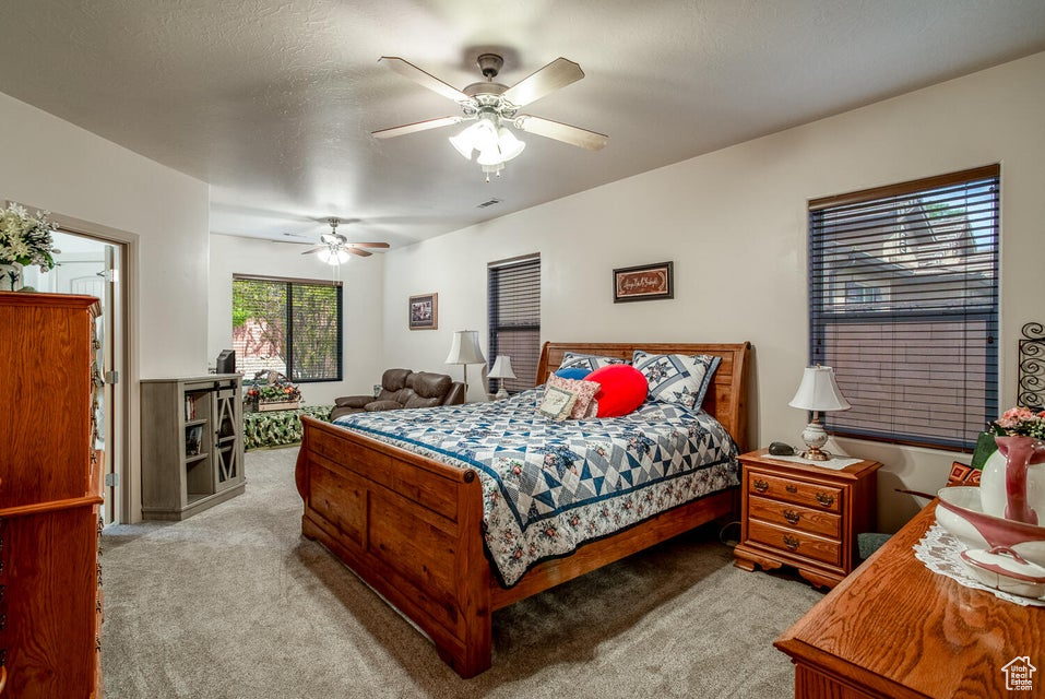 1178 W 790, Saint George, Utah image 16