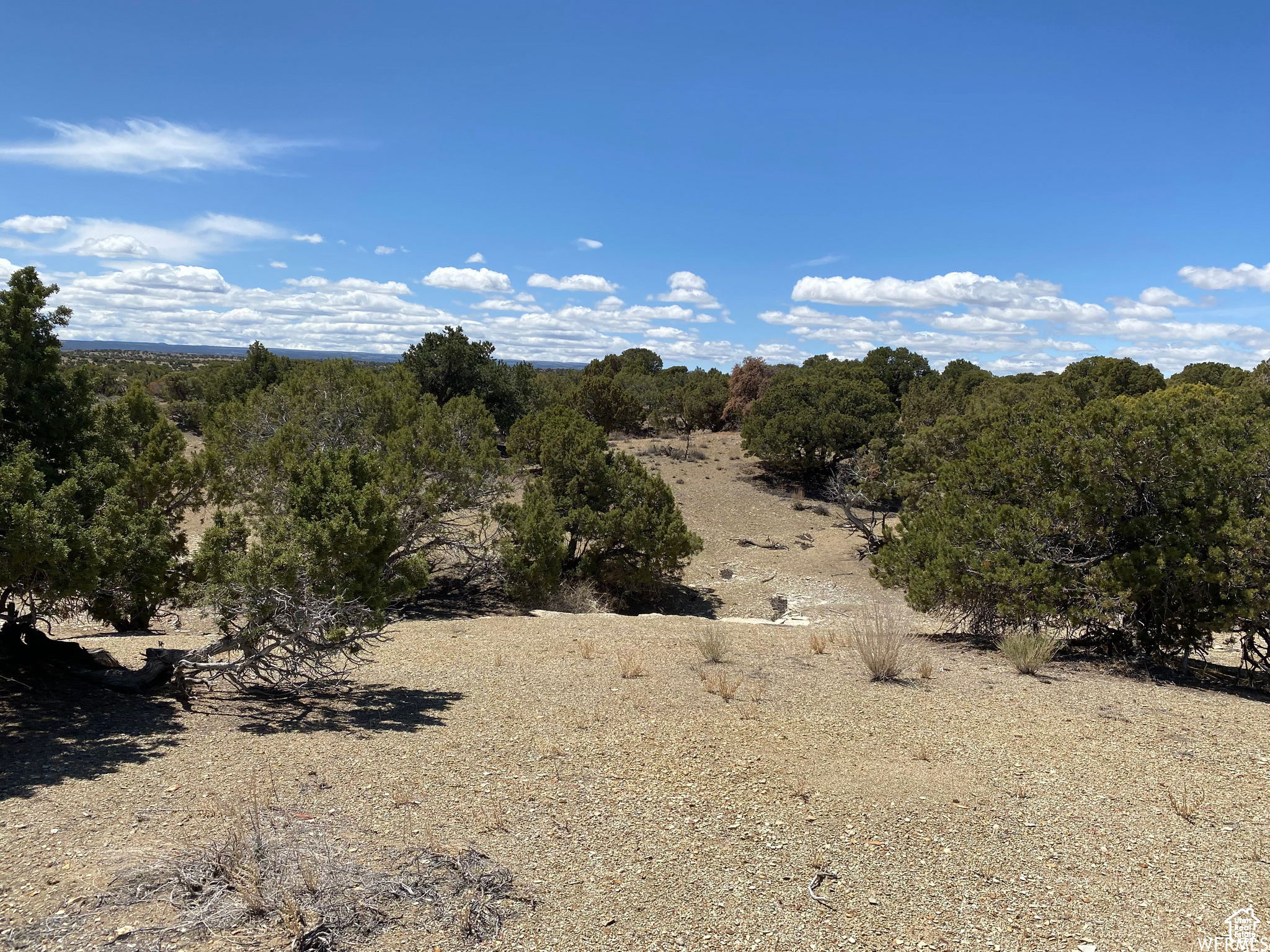 MOONDANCE RANCH - Land
