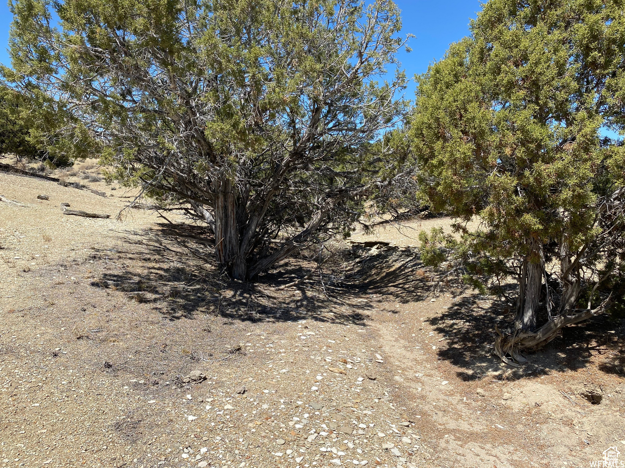 MOONDANCE RANCH - Land