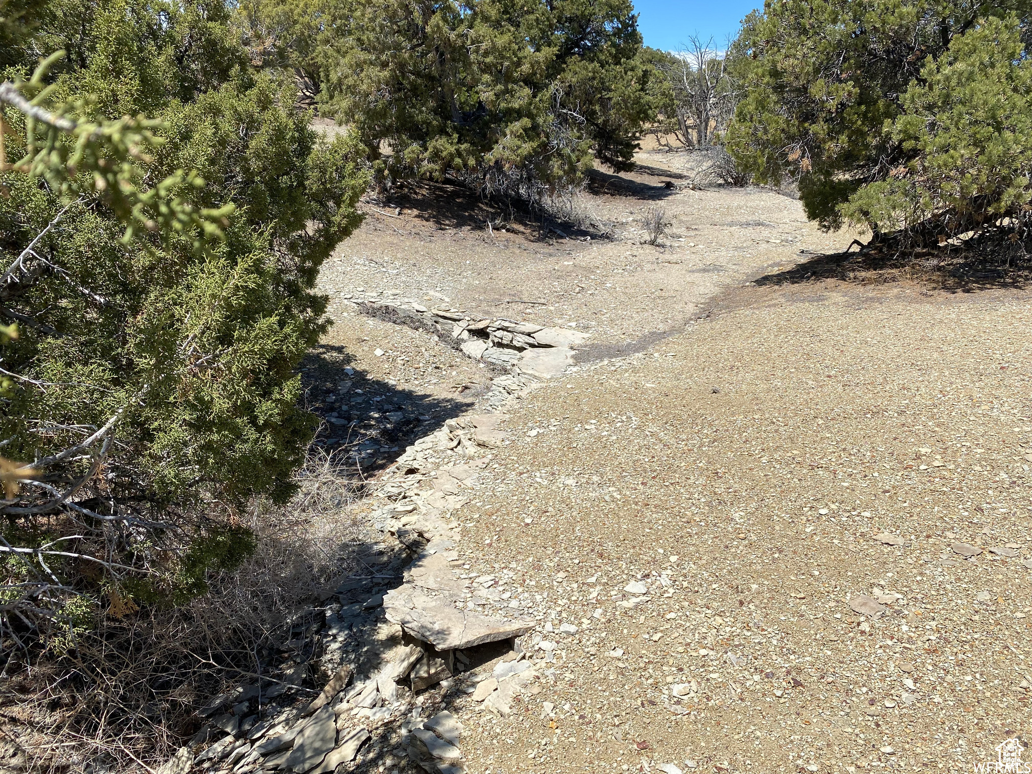 MOONDANCE RANCH - Land