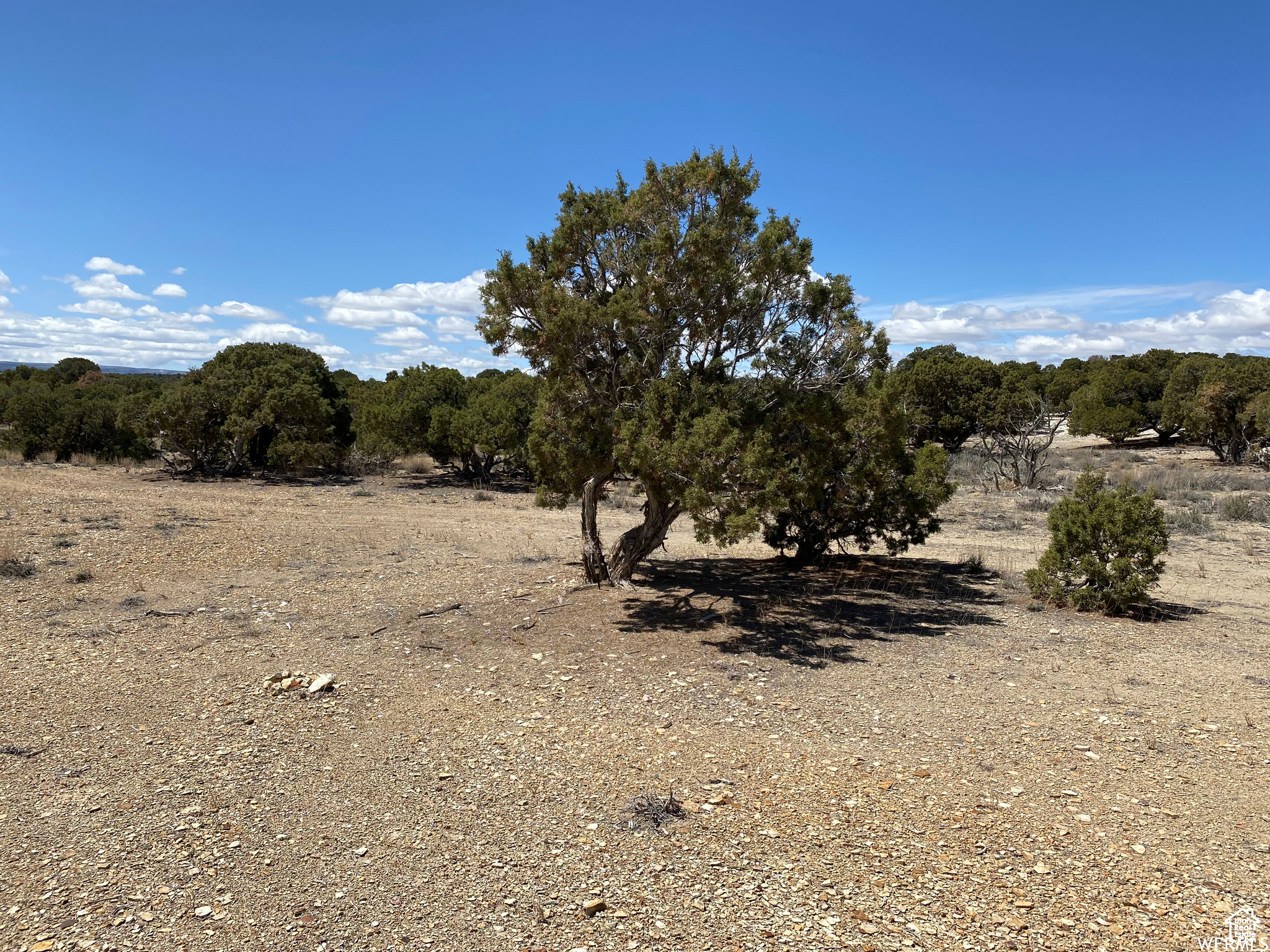 MOONDANCE RANCH - Land