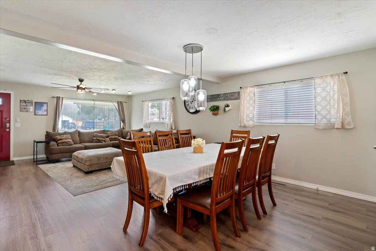NELSON PARK - Residential