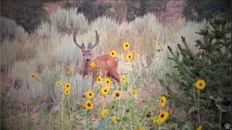 Tiny photo for 1906 S PRESERVE DR #55, Mapleton, UT 84664 (MLS # 2144319)