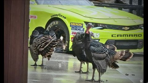 Tiny photo for 1906 S PRESERVE DR #55, Mapleton, UT 84664 (MLS # 2144319)