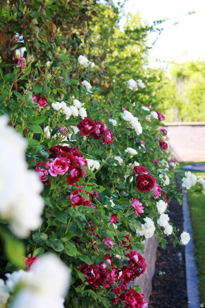 WINDSOR ESTATES AMD - Residential