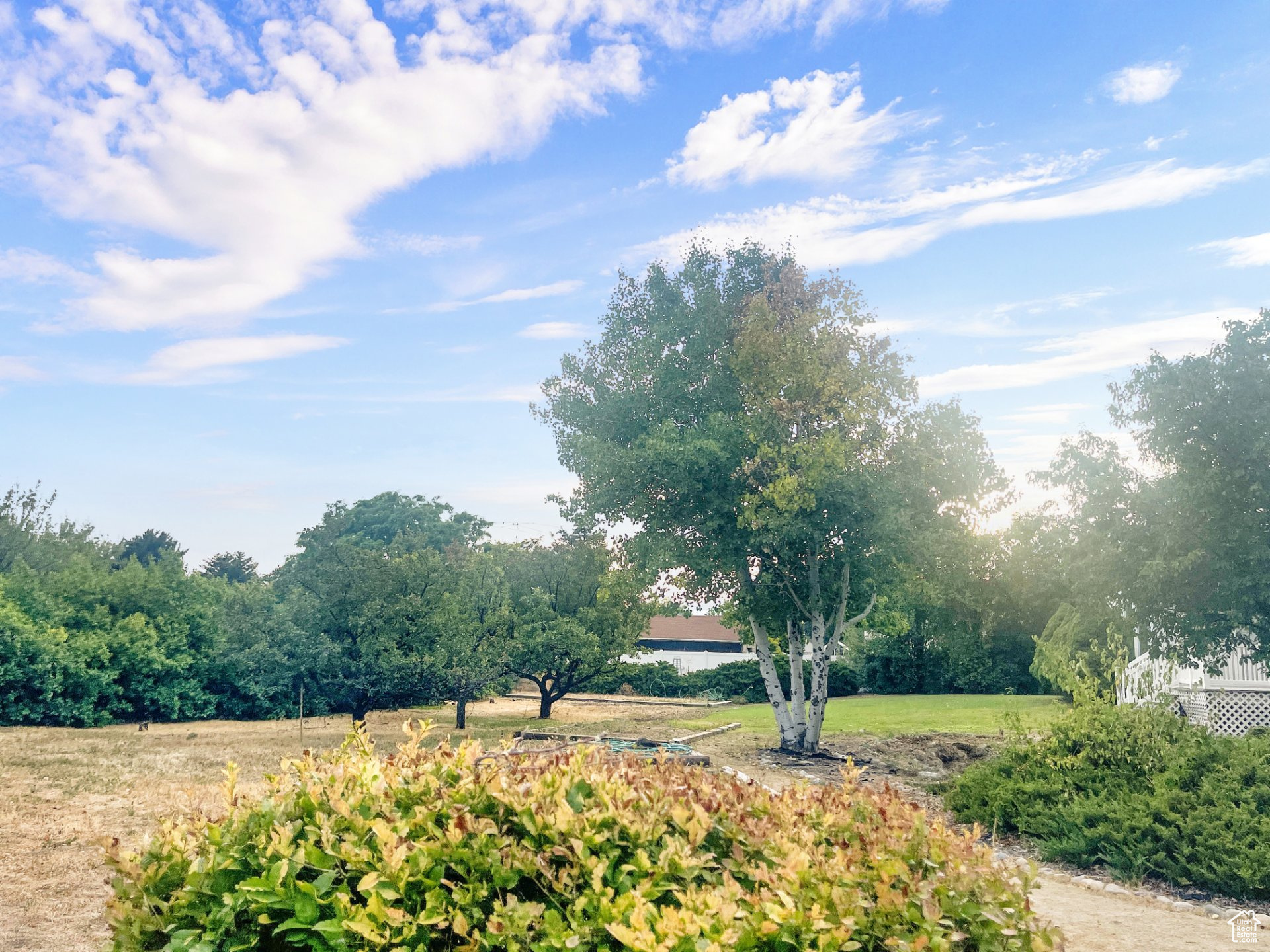 WOOD ESTATES - Residential