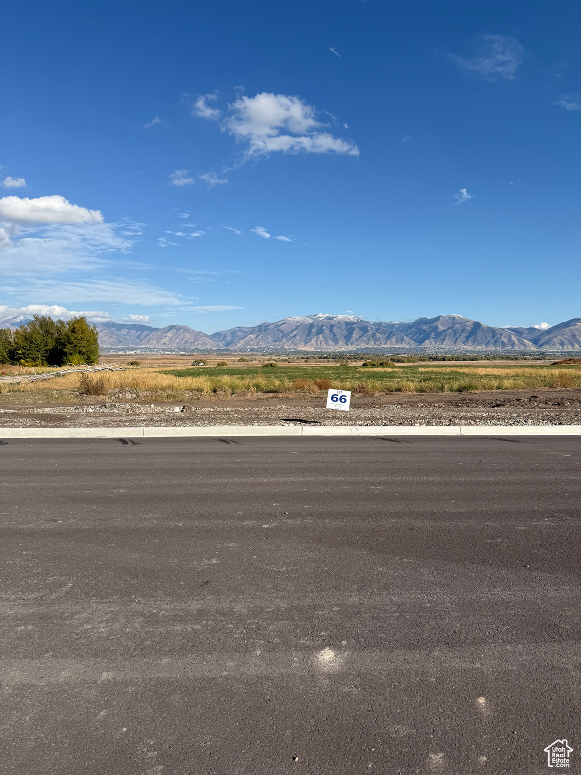 BLUEBERRY SPRINGS DEVELOPMENT LLC - Land