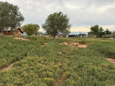 Tiny photo for 2575 W 2500 S, Roosevelt, UT 84066 (MLS # 2179295)