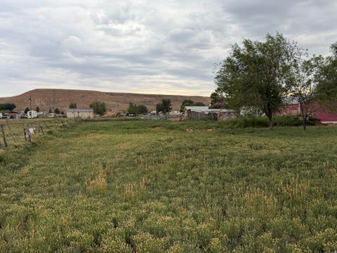 Tiny photo for 2575 W 2500 S, Roosevelt, UT 84066 (MLS # 2179295)