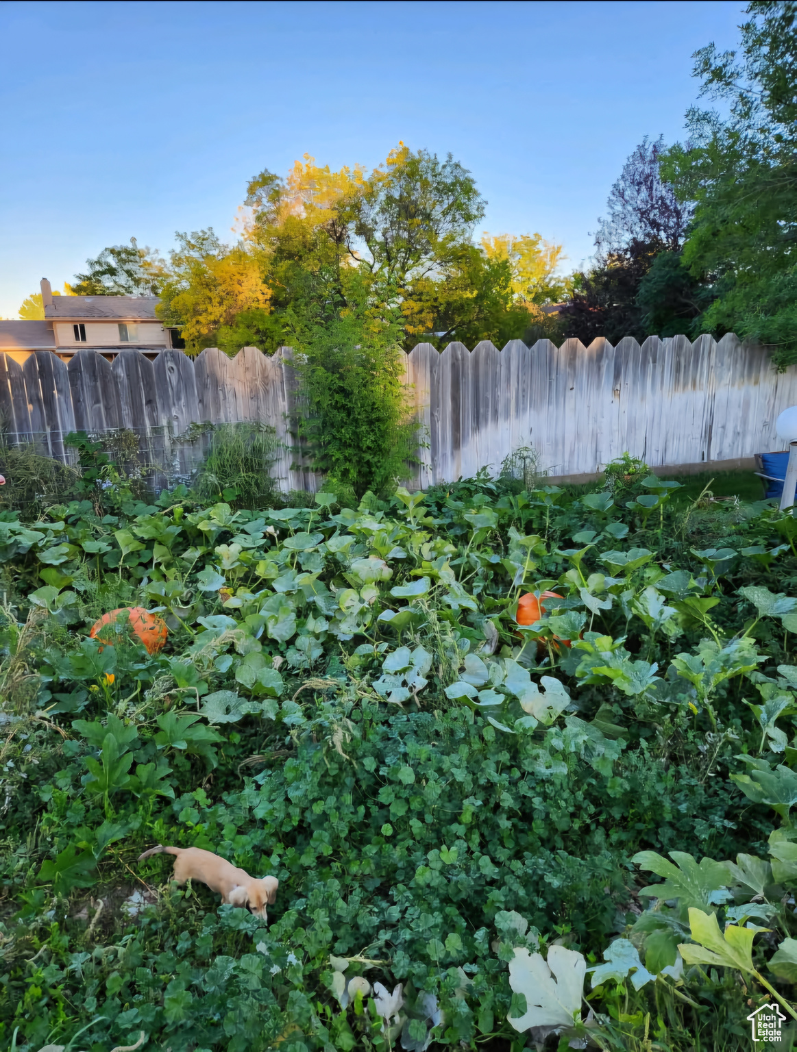 ROBINWOOD ACRES - Residential