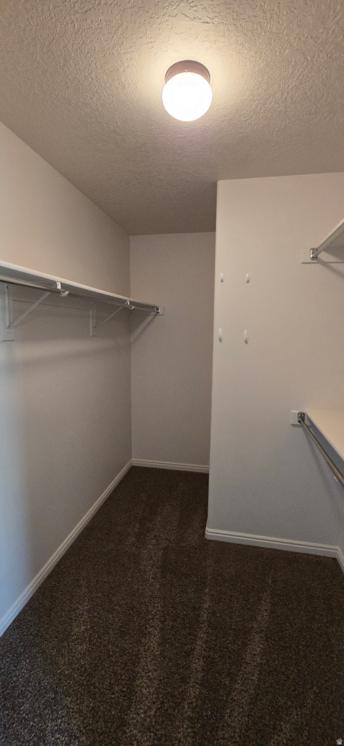 CHELSIE PARK EAST - Residential