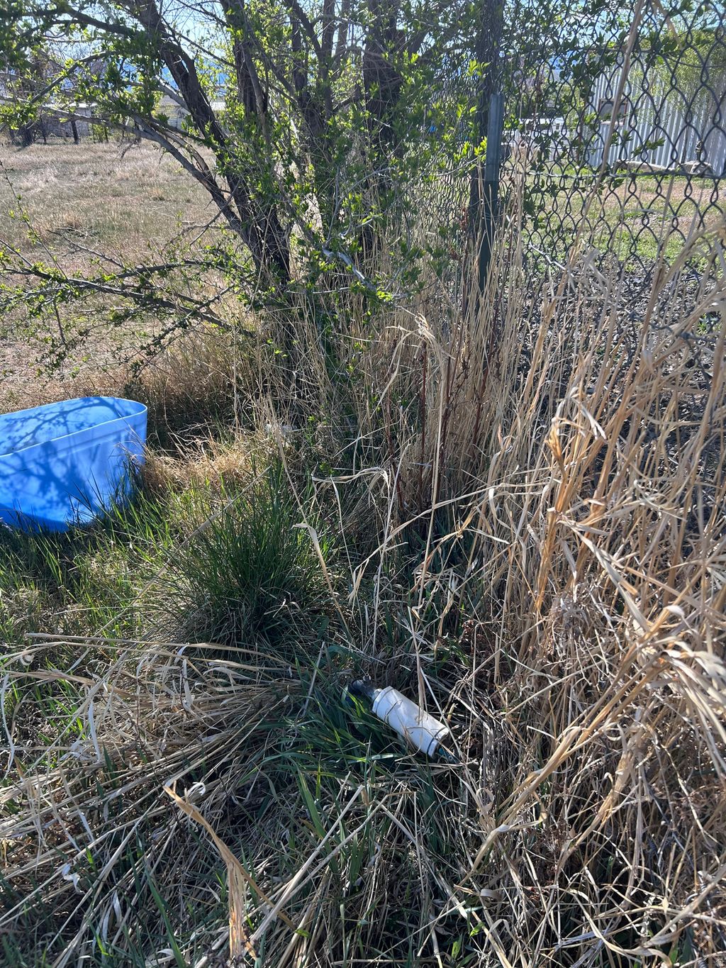 Photo of 175 S 400 E, Mt Pleasant, UT 84647 (MLS # 2153131)