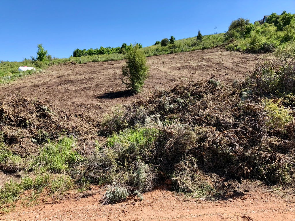 Photo of 1840 N BROAD HOLLOW RD, Garden City, UT 84028 (MLS # 2177164)