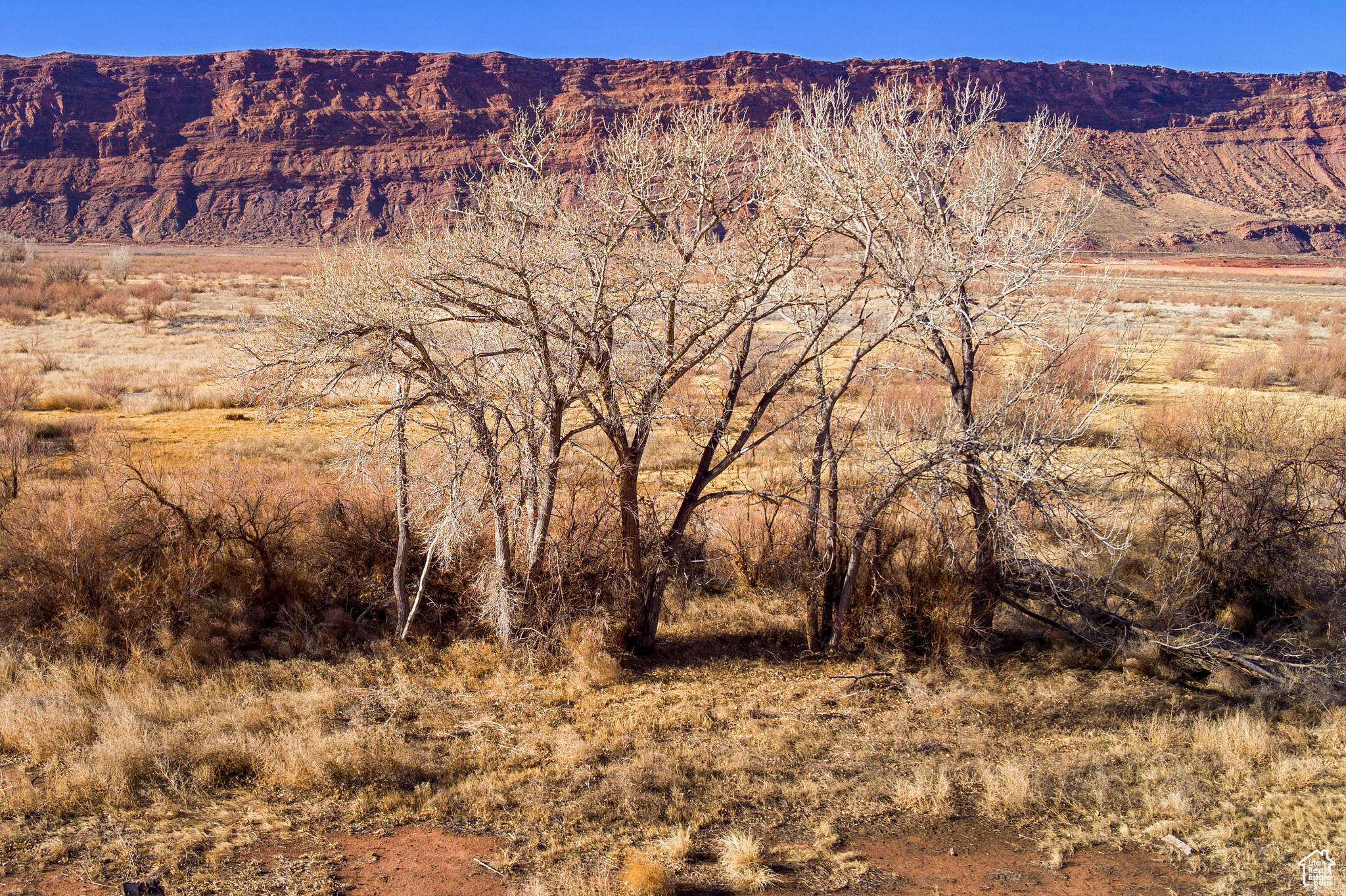 1653 N Riverview Dr, Moab, Utah image 20