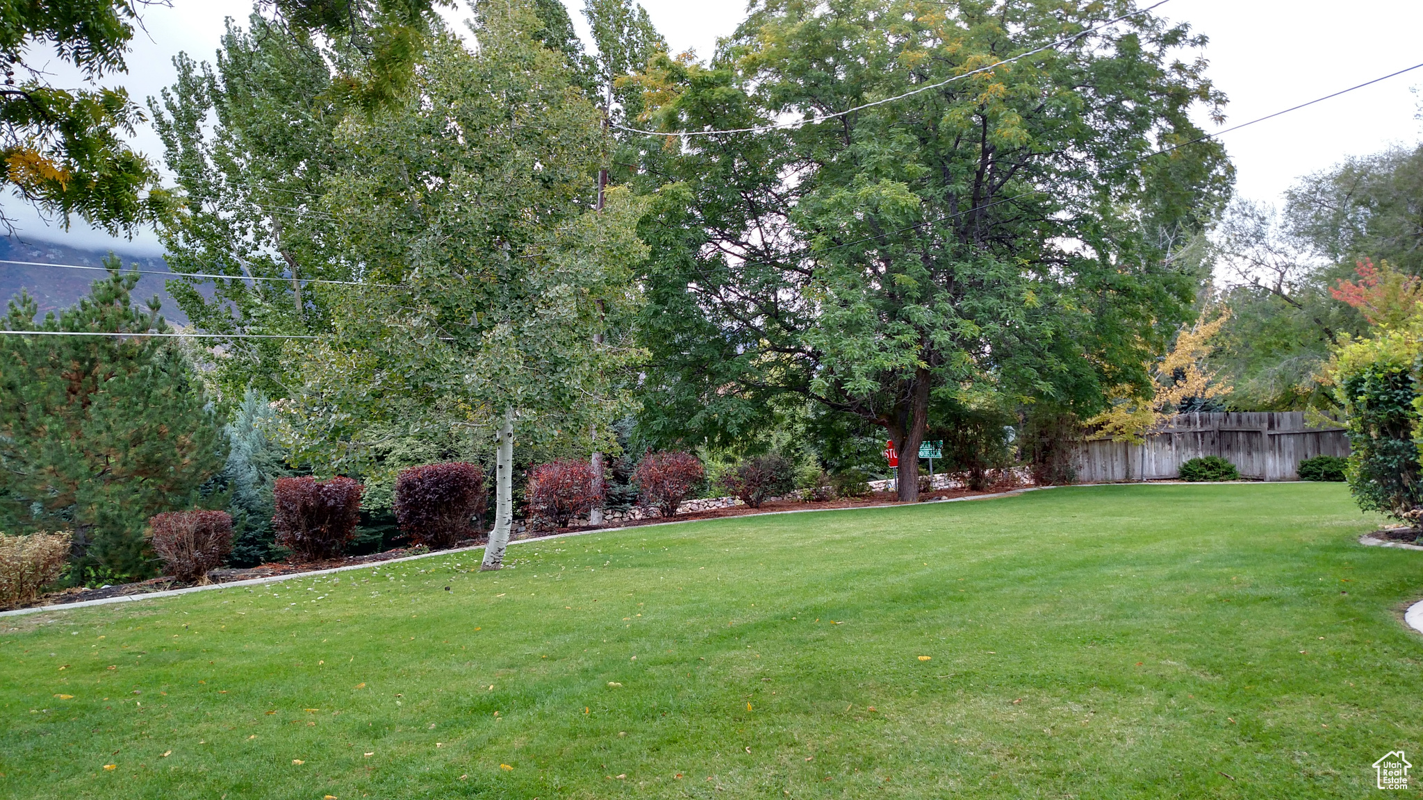 1360 S Carterville Rd, Orem, Utah image 15
