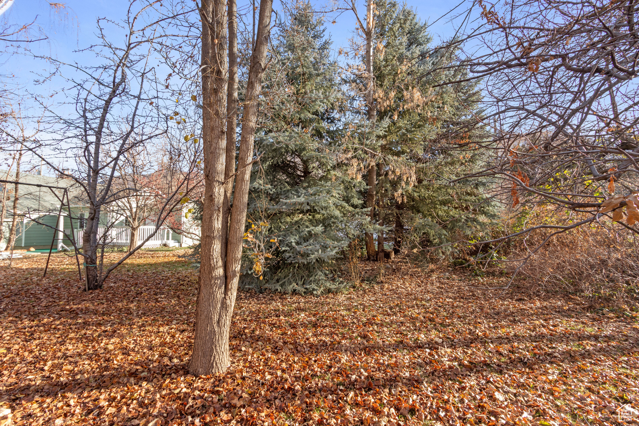 1265 36th St, Ogden, Utah image 38