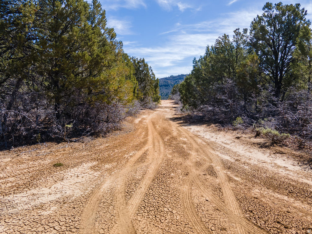 COUGAR CANYON - Land