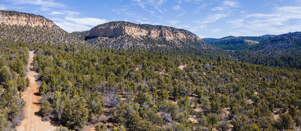 COUGAR CANYON - Land