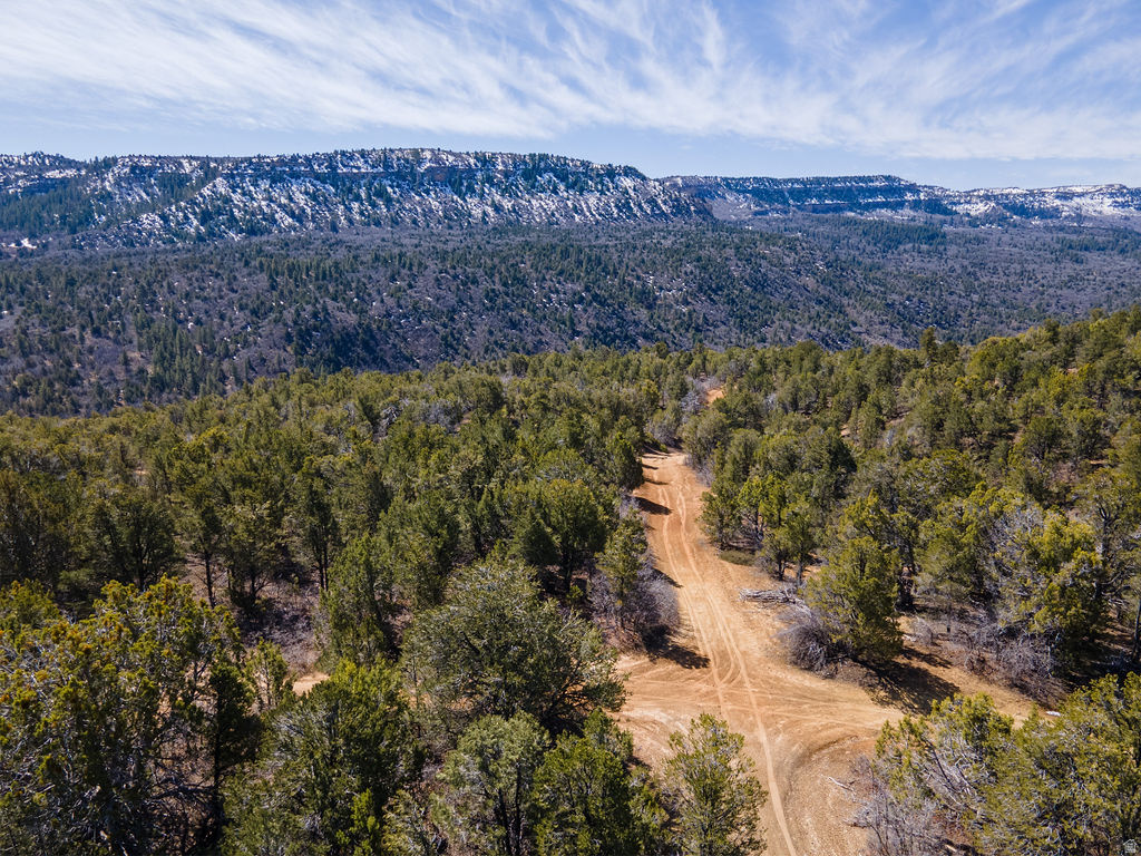 COUGAR CANYON - Land