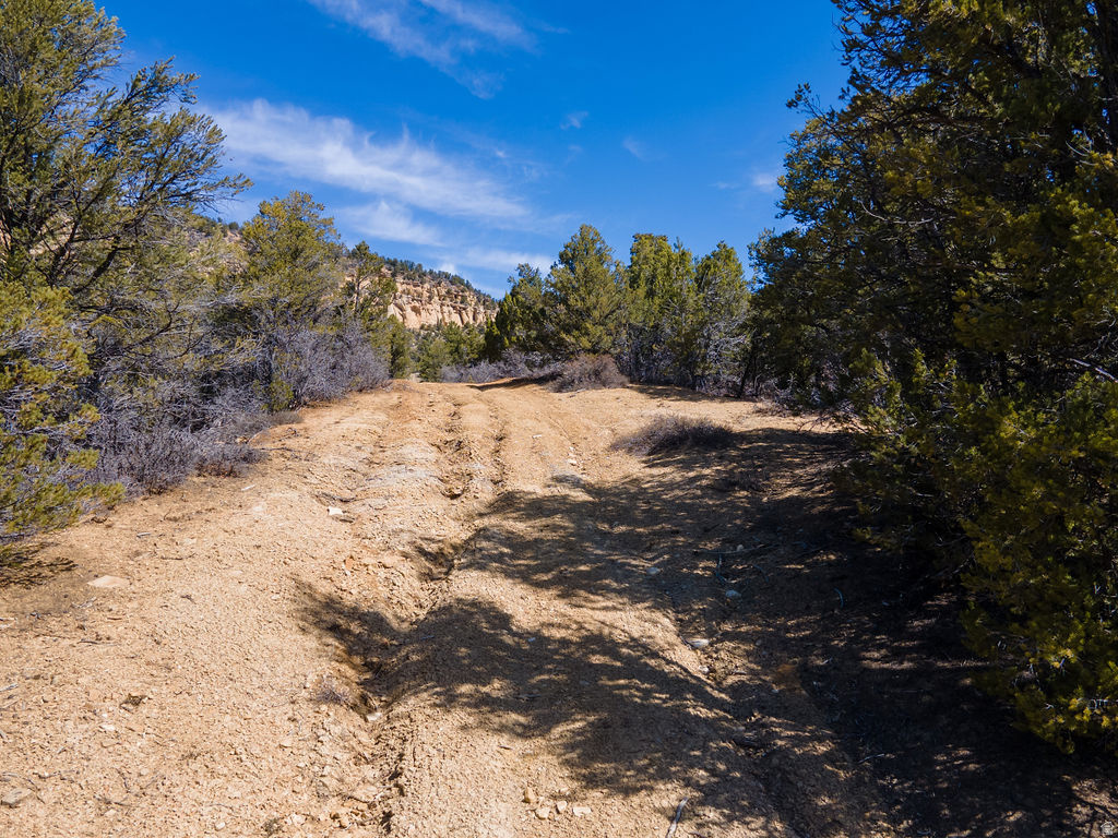 COUGAR CANYON - Land