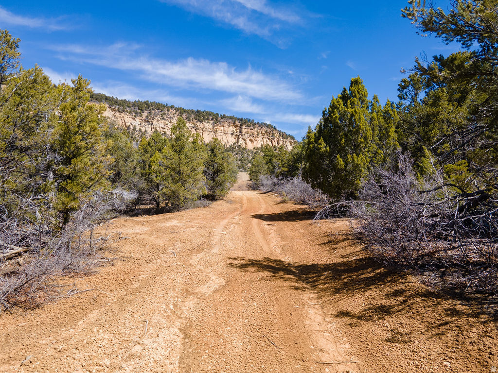 COUGAR CANYON - Land