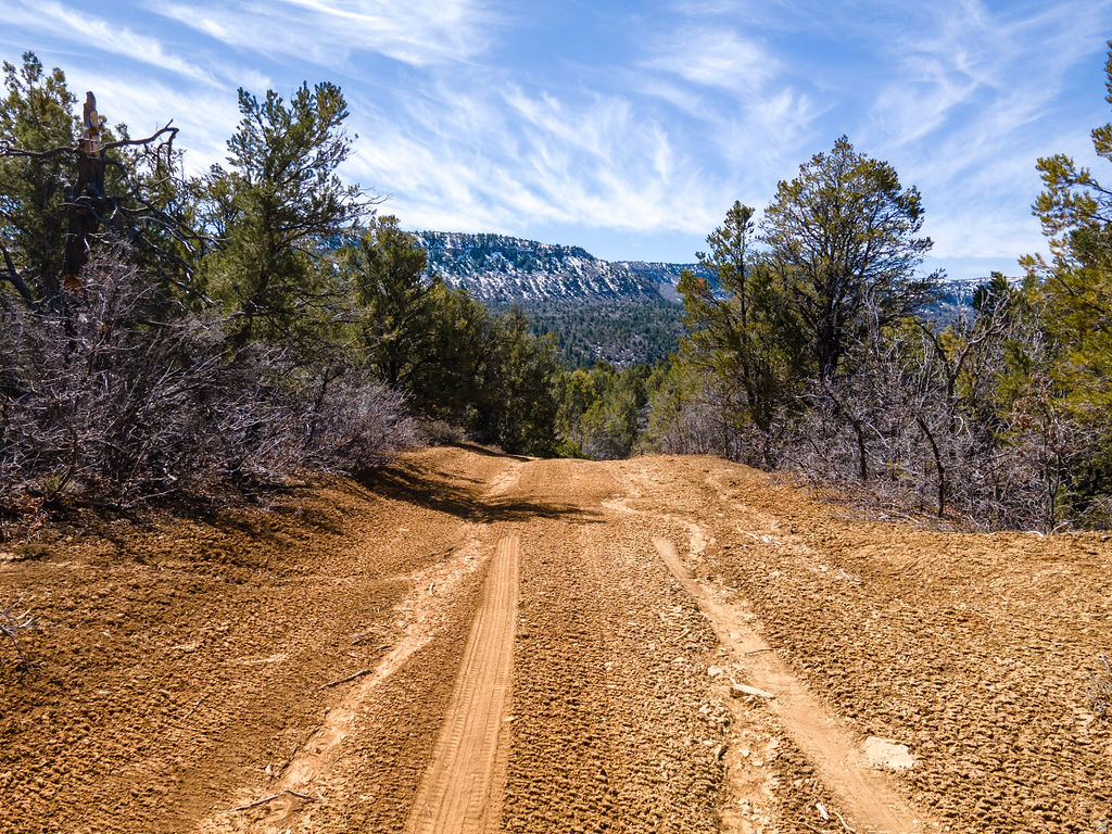 COUGAR CANYON - Land