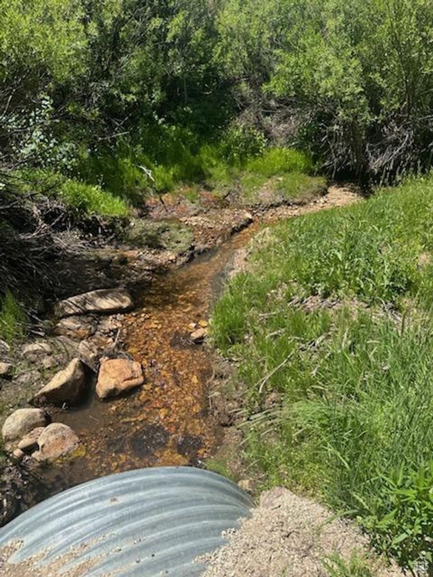 Experience the ultimate outdoor getaway on this secluded 40-acre parcel that offers a serene setting for all outdoor enthusiast, complete with a winding creek, mature trees, and an established fire pit. Ideal for constructing your dream cabin, this property provides ample opportunities for fishing, hunting, trail riding, hiking and more!