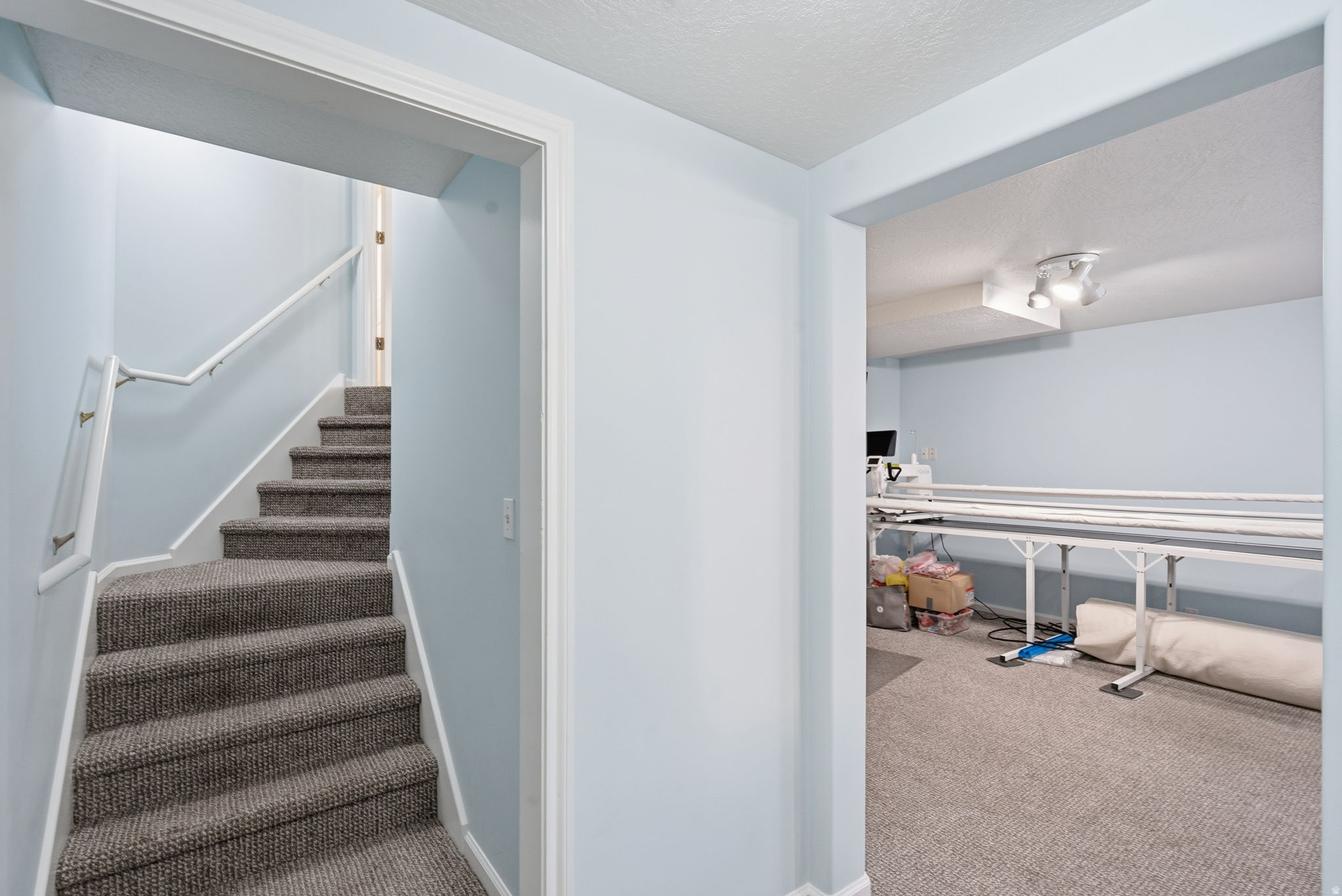 BORGS MTN VIEW ESTAT - Residential