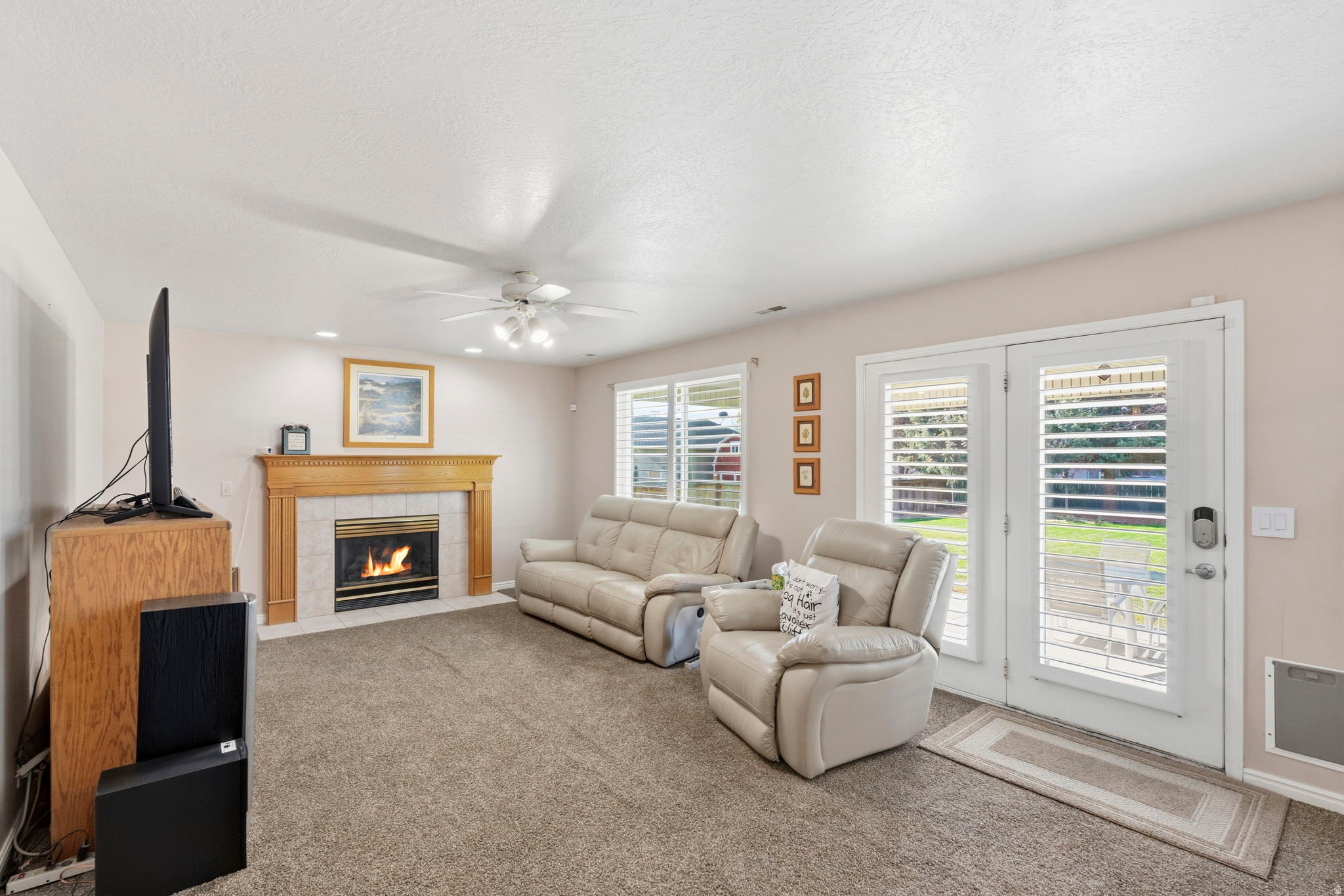 BORGS MTN VIEW ESTAT - Residential