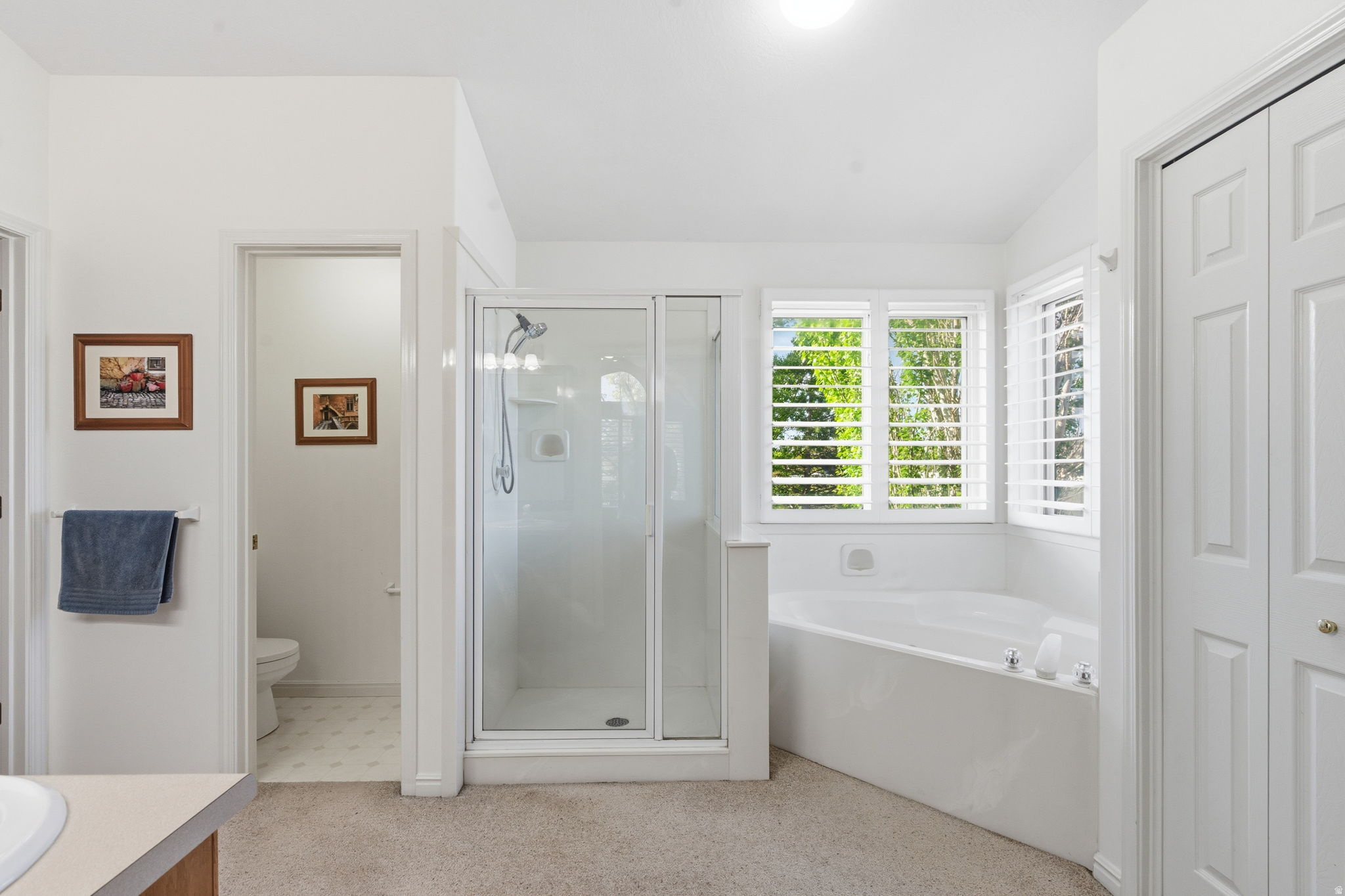 BORGS MTN VIEW ESTAT - Residential