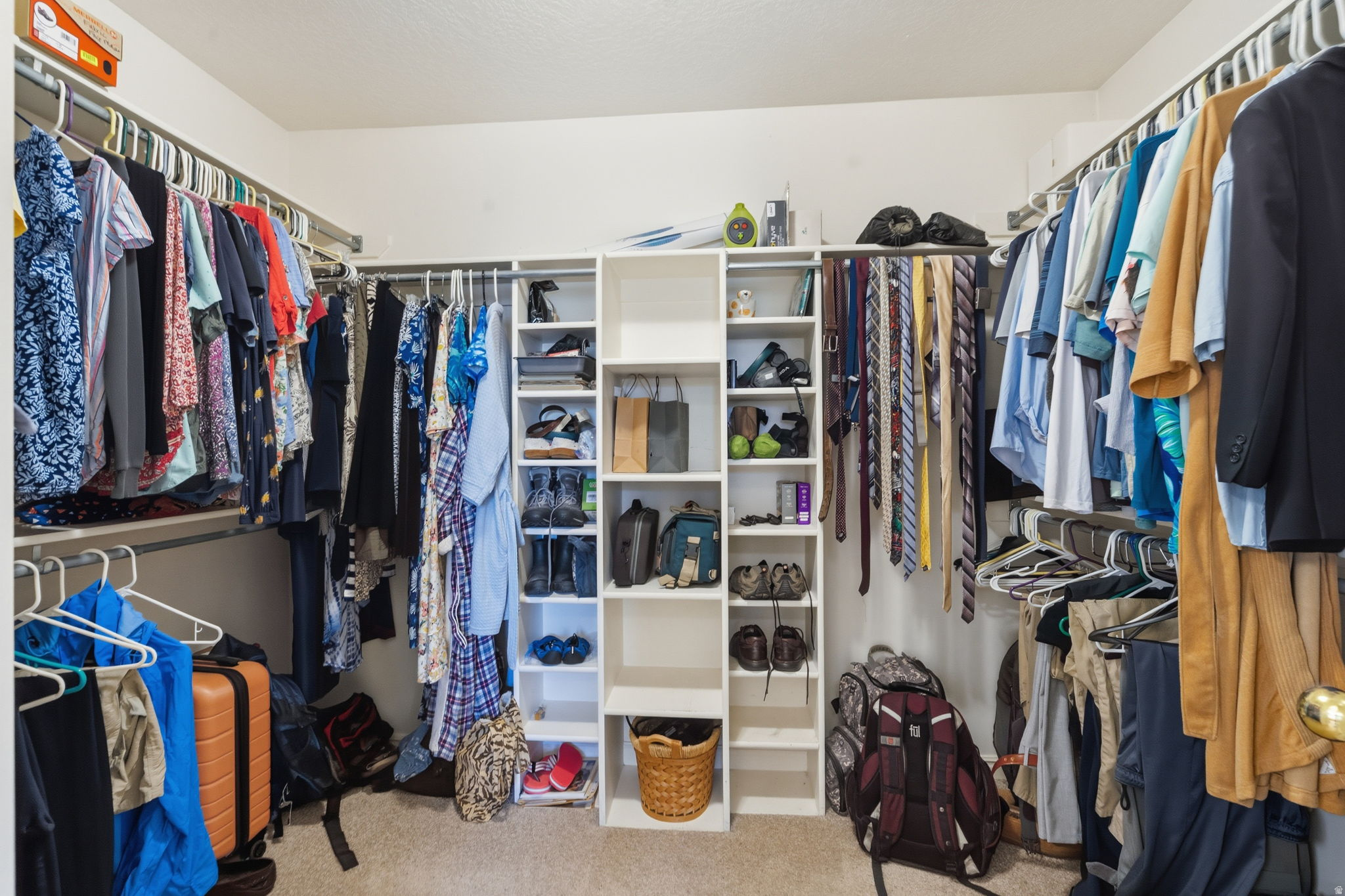 BORGS MTN VIEW ESTAT - Residential