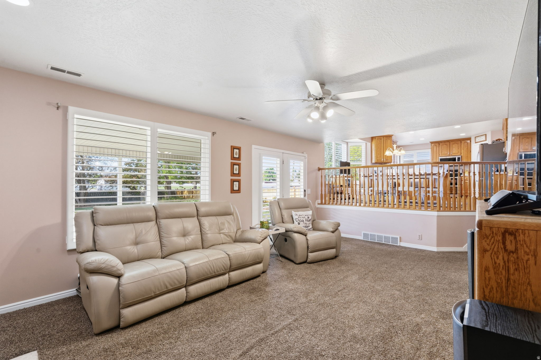 BORGS MTN VIEW ESTAT - Residential