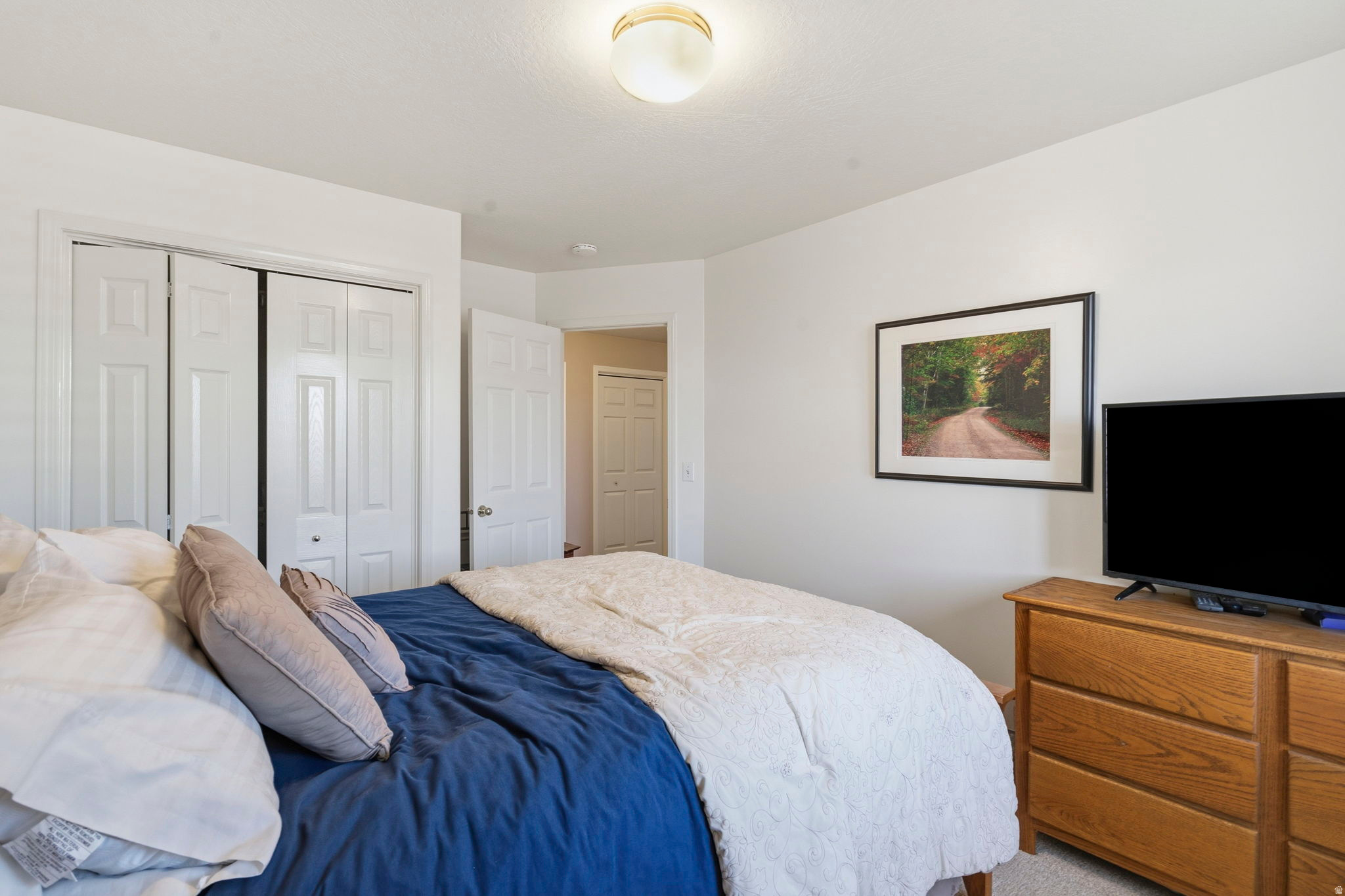 BORGS MTN VIEW ESTAT - Residential