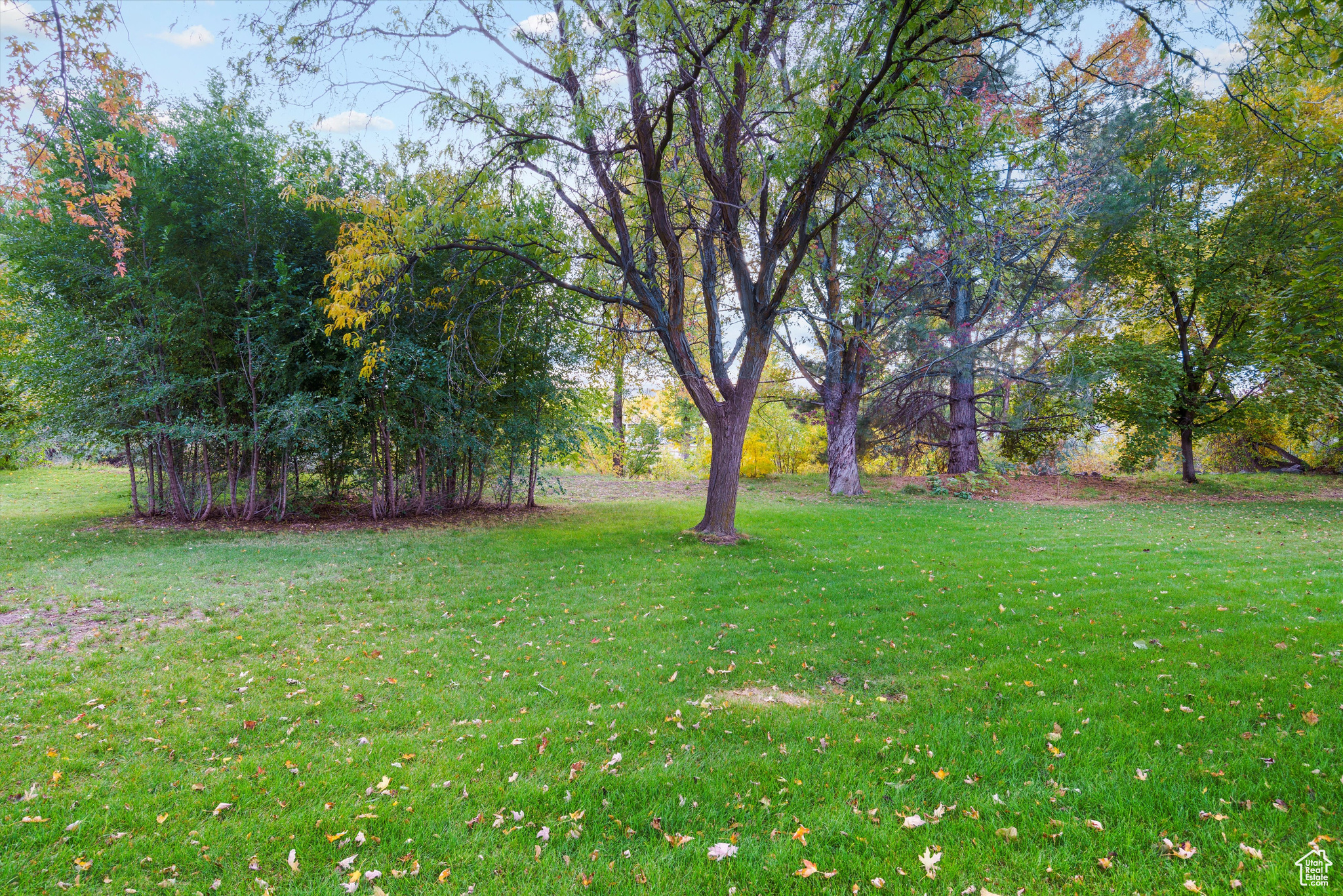 COTTONWOOD ESTATES - Residential