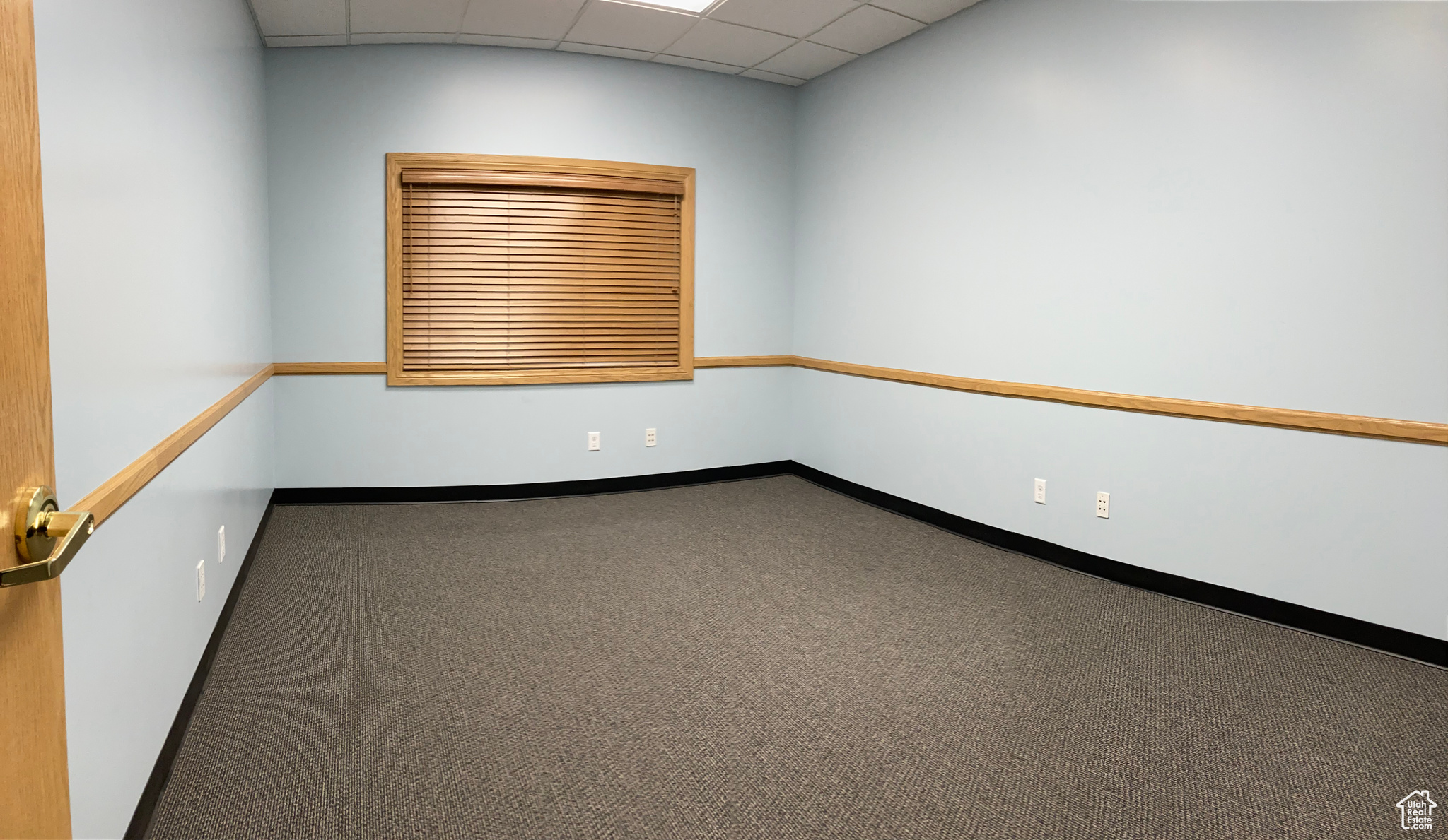 GREEN - Commercial Lease