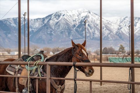 Tiny photo for 7702 S 3300 W, Spanish Fork, UT 84660 (MLS # 2127994)