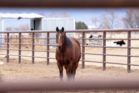 Tiny photo for 7702 S 3300 W, Spanish Fork, UT 84660 (MLS # 2127994)