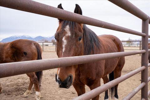 Tiny photo for 7702 S 3300 W, Spanish Fork, UT 84660 (MLS # 2127994)