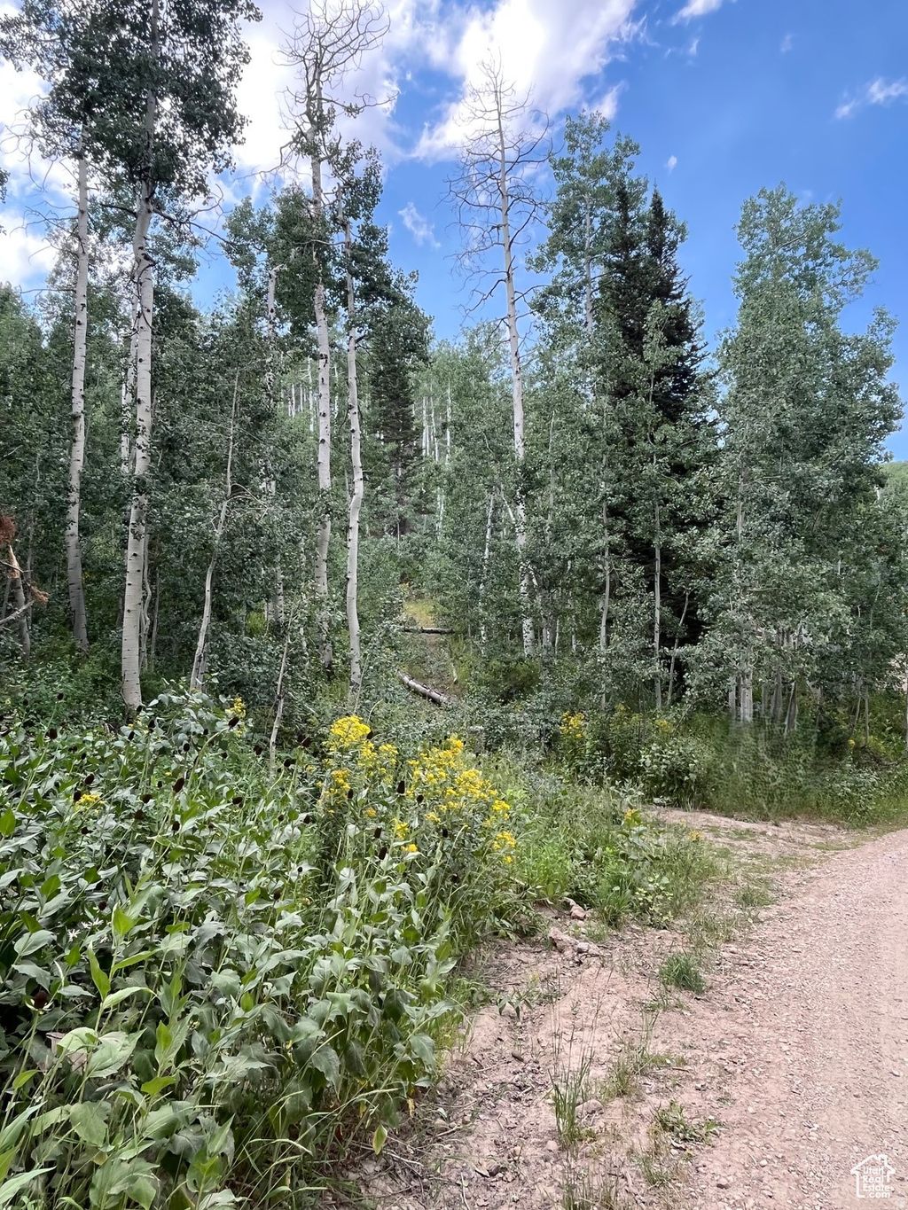 Photo of 2102 S UINTAH VIEW DR #61, Coalville, UT 84017 (MLS # 2132628)