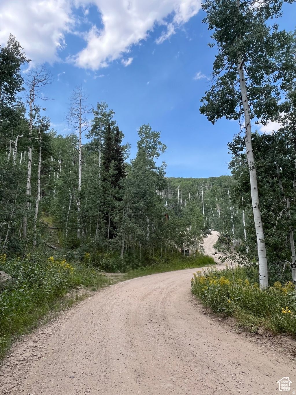 Photo of 2102 S UINTAH VIEW DR #61, Coalville, UT 84017 (MLS # 2132628)