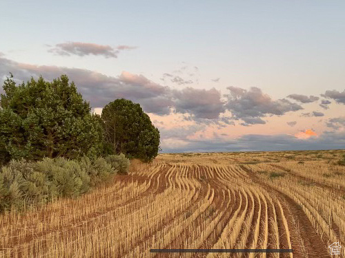 Land, Monticello, Utah image 9