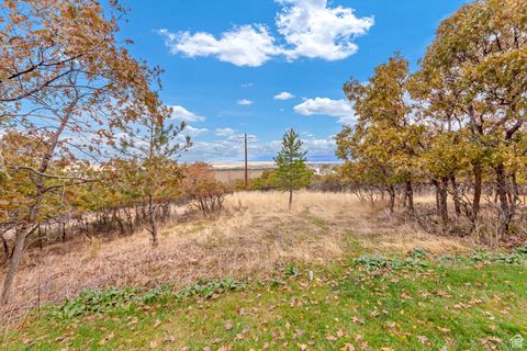 Tiny photo for 195 S OAK DR, Woodland Hills, UT 84653 (MLS # 2118076)