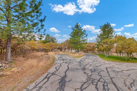 Tiny photo for 195 S OAK DR, Woodland Hills, UT 84653 (MLS # 2118076)